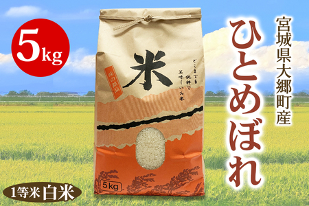 [令和6年産]宮城県 大郷町産 1等米 ひとめぼれ 白米 5kg×1袋|2024年 ひとめぼれ 米 お米 こめ 精米 宮城米 道の駅 [0224]