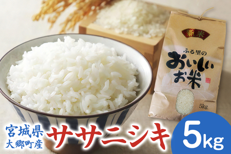 [宮城県大郷町産] 令和7年産 ササニシキ 5kg|2025年 白米 精米 白飯 米 お米 こめ コメ 宮城県産 産直 [0299]