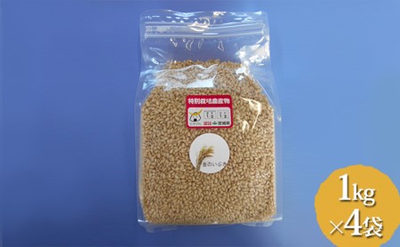 特別栽培米 金のいぶき(玄米専用品種)1kg×4袋
