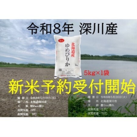 令和8年産新米 予約受付開始 北海道深川産 ゆめぴりか 5kg×1袋