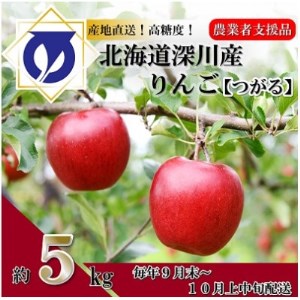 [令和6年産先行受付]北海道深川市産りんご(つがる)5kg[ふるさと納税][配送不可地域:離島]