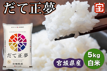 令和7年産 宮城県産 だて正夢 5kg (白米)|2025年 宮城産 米 精米 白米 お米 米 こめ コメ 伊達正夢 だて 正夢 まさゆめ 宮城米 ふるさと納税 [0347]