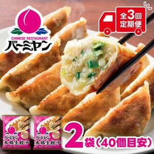 【毎月定期便】すかいらーく バーミヤン 冷凍生餃子 2袋(目安40個)全3回【配送不可地域：離島】【4058680】
