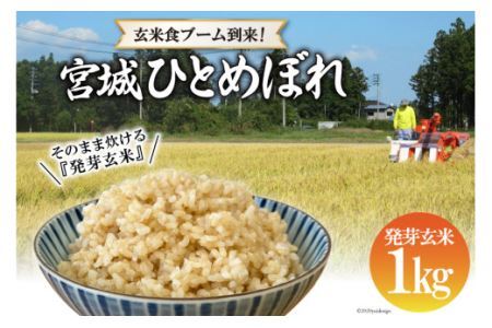 簡単に炊ける 宮城県産 ひとめぼれ 発芽玄米1k [菅原商店 宮城県 加美町 44581384]米 こめ コメ 玄米 発芽玄米 ご飯