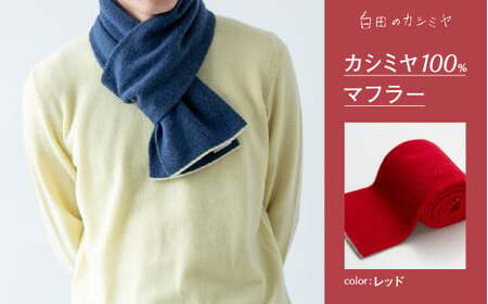 カシミヤ マフラー カシミヤ （レッド）≪白田のカシミヤ≫ 