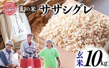 新米 令和6年産 ササシグレ 玄米 10kg げんまい 米 こめ おこめ お米 ささしぐれ おいしい nt00002-r6-10kg