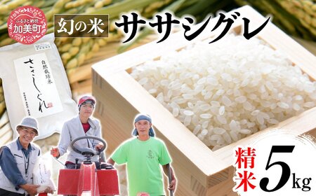 令和6年産 ササシグレ 精米 5kg 白米 米 こめ おこめ お米 ささしぐれ おいしい nt00001-r6-5kg