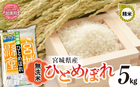 新米 無洗米 令和6年度産 宮城 ひとめぼれ 5kg [菅原精米工業 宮城県 加美町 ] | sw00003-r6-5kg