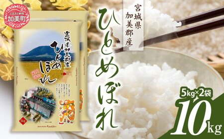 令和6年産 宮城県加美産 ひとめぼれ 10kg(5kg×2) [カメイ 宮城県 加美町 ] お米 こめ コメ 精米 白米 | km00013-r6-10kg