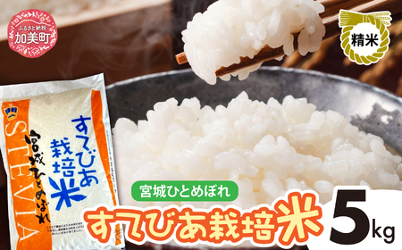 新米 精米 令和6年度産 すてびあ栽培米 宮城県産 ひとめぼれ 5kg [菅原精米工業 宮城県 加美町 ] | ひとめぼれ ひとめぼれ新米 ひとめぼれ すてびあ栽培米 ひとめぼれ sw00001-r6-5kg