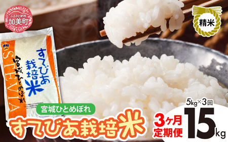 [3回定期便]新米 精米 令和6年度産 すてびあ栽培米 宮城県産 ひとめぼれ 15kg (5kg×3回) [菅原精米工業 宮城県 加美町 ] 