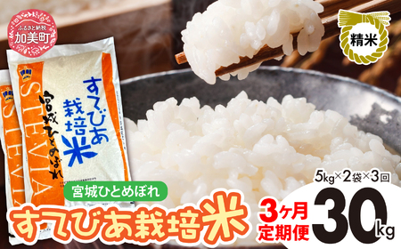 [3回定期便] ひとめぼれ 新米 精米 令和6年度産 すてびあ栽培米 宮城県産 計30kg 10kg(5kg×2)×3回 [菅原精米工業 宮城県 加美町 ] 