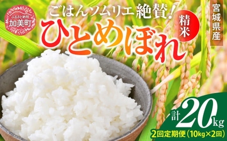 ひとめぼれ[2回定期便]新米 精米 令和6年産 宮城県産ひとめぼれ 計20kg (10kg×2回) ひとめぼれ [菅原商店 宮城県 加美町 ] | sg00001-r6-10kg-2