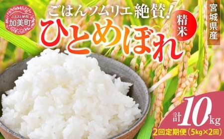 [2回定期便]新米 精米 令和6年産 宮城県産ひとめぼれ 計10kg (5kg×2回) [菅原商店 宮城県 加美町 ] | sg00001-r6-5kg-2