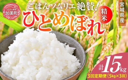 ひとめぼれ [3回定期便]精米 ひとめぼれ 令和6年産 宮城県産ひとめぼれ 精米 こめ コメ 計15kg(5kg×3回) 菅原商店 宮城県 加美町 sg00001-r601-5kg-3