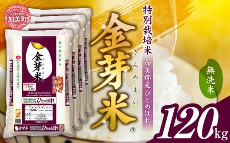 金芽米 無洗米 令和6年 宮城県 加美産 ひとめぼれ金芽米 特別栽培米 120kg ( 5kg × 24袋 ) 金芽米 加美町 金芽米 無洗米 宮城県 加美町 km00011-r6-120kg