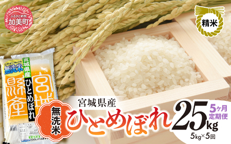 [5回定期便]R7 宮城県産 ひとめぼれ 無洗米 5kg×5回 [ 宮城県 加美町 菅原精米 ] 米 こめ コメ ご飯 sw-hb05-mu-t5-r7