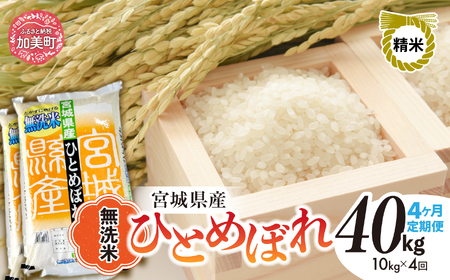無洗米 10kg×4 無洗米 無洗米 無洗米 大容量