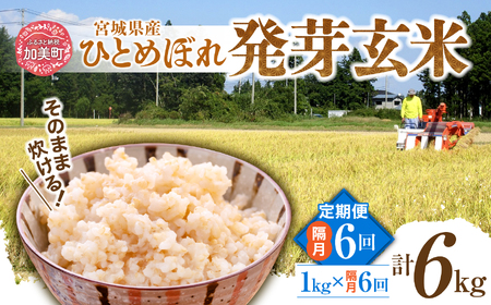 定期便 隔月 6ヶ月 簡単に炊ける 宮城県産 ひとめぼれ 発芽玄米 計6kg(1kg×6回) / 菅原商店 / 宮城県 加美町 sg-hb01-hg-k6