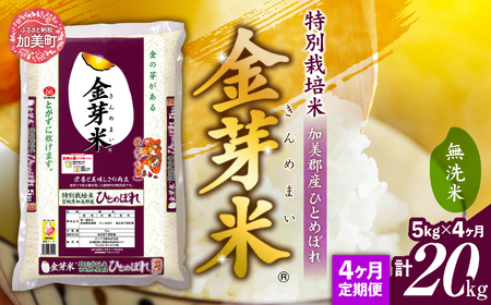 [ 定期便 4回 ]米 無洗米 金芽米 令和6年 宮城県 加美産 ひとめぼれ 特別栽培米 計 20kg ( 5kg × 4回 ) [ 宮城県 加美町 ] 金芽米 無洗米 定期便 金芽米 無洗米 定期便 / km00016-r6-5kg-t4