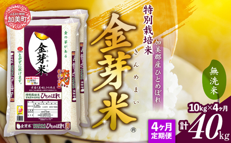 [ 定期便 4回 ]米 無洗米 金芽米 令和6年 宮城県 加美産 ひとめぼれ 特別栽培米 計 40kg ( 10kg × 4回 ) [ 宮城県 加美町 ] 金芽米 無洗米 金芽米 無洗米 /km00016-r6-10kg-t4