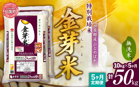 [ 定期便 5回 ]米 無洗米 金芽米 令和6年 宮城県 加美産 ひとめぼれ 特別栽培米 計 50kg ( 10kg × 5回 ) [ 宮城県 加美町 ] 金芽米 無洗米 金芽米 無洗米 / km00016-r6-10kg-t5