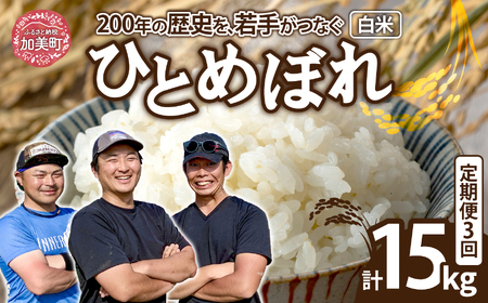 白米 新米5kg×3 白米 白米 白米