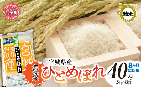 y8ցzR7 {錧Y ЂƂ߂ڂ  5kg×8 [ {錧   ]   R  sw-hb05-mu-t8-r7
