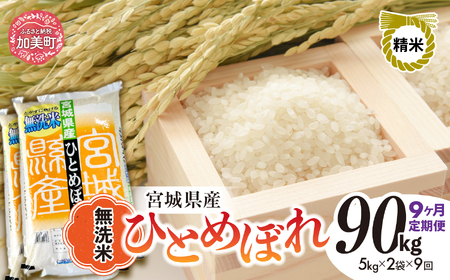 [9回定期便]R7 宮城県産 ひとめぼれ 無洗米 10kg×9回 [ 宮城県 加美町 菅原精米 ] 米 こめ コメ ご飯 sw-hb10-mu-t9-r7