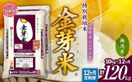  VĒ10kg×12 