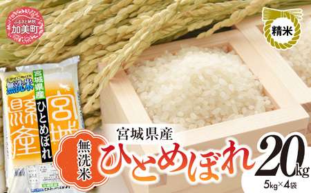 令和7年産 無洗米ひとめぼれ20kg(5kg×4袋)