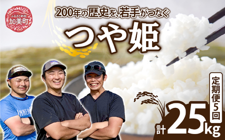 [5kg×5回 計25kg] 米 宮城県産 つや姫 定期便 [ 令和7年産 新米 ] ブランド米 白米 精米 ご飯 ごはん コメ こめ お米 小分け 家庭用 結心ファーム [ 宮城県 加美町 ] | yu-th05-t5-r7
