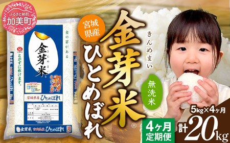 ����� �V�Ē����5kg×4�� �����