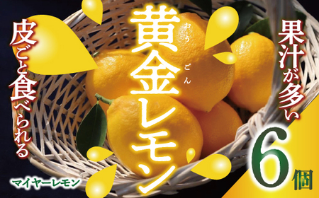 皮まで美味しい黄金レモン6個セット　※2025年1月上旬～2025年2月下旬頃に順次発送予定