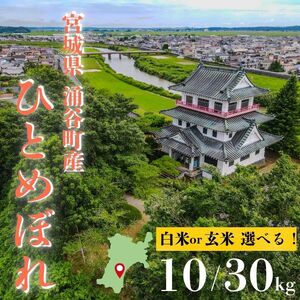令和7年産 涌谷町産ひとめぼれ 白米 10kg[ooizumi001]