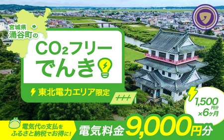 涌谷町CO2フリーでんき 1,500円×6ヶ月コース[※※お申込み前に申込条件を必ずご確認ください] 東北電力 電気 電力 東北 電気代 電気料金 青森県 岩手県 宮城県 秋田県 山形県 福島県 新潟県 でんき[ens002]