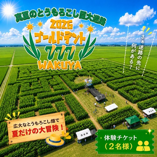 真夏のとうもろこし巨大迷路2026ゴールドデント777WAKUYA|とうもろこし 体験 迷路 涌谷町[saito006]