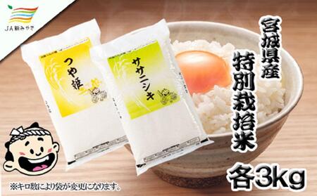 Cs  {̔ĐHה׃Zbgiaj