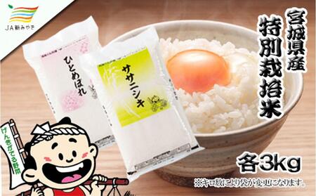 Cs  {̔ĐHה׃Zbgi`j