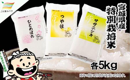 Cs  {̔ґRHה׃ZbgiPj