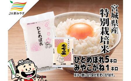 ���C����s��  �{��̔����������āE�����ăZ�b�g