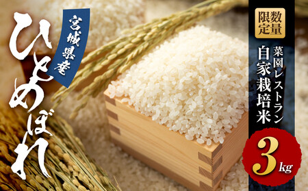 [令和6年産]数量限定 菜園レストラン「野の風」自家栽培米 ひとめぼれ3kg