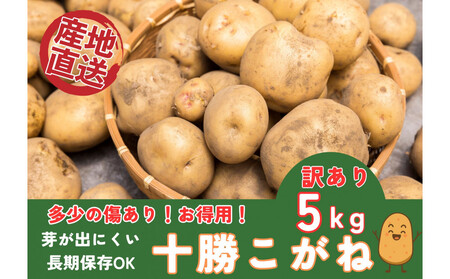 [訳あり★お買い得]万能じゃがいも5kg