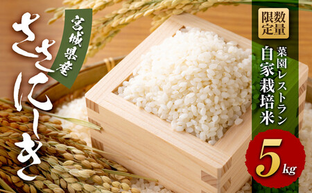 yߘa7NYzʌ @؉Xgu̕vƍ͔|ā@TTjVL5kg