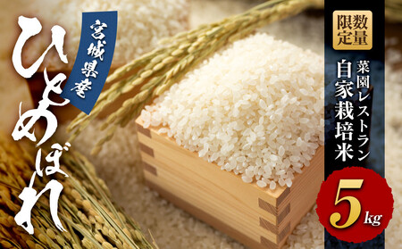 yߘa7NYzʌ@؉Xgu̕vƍ͔|ā@ЂƂ߂ڂ5kg