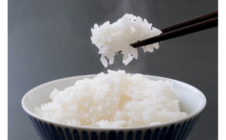 yߘaVNYzV {錧Y ЂƂ߂ڂ  5kgi5kg×P܁j