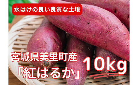 ÂĂƂ聚܂(g͂邩)10kg