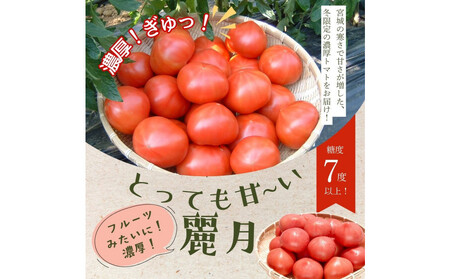 [糖度7度以上!]甘い★麗月トマト1kg