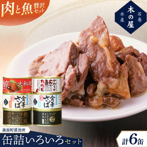 美里町直売所厳選いいろいろ6缶セット / 缶詰 缶 セット クジラ 鯨 カルビ 焼肉味 牛タン デミグラスソース [kany001]