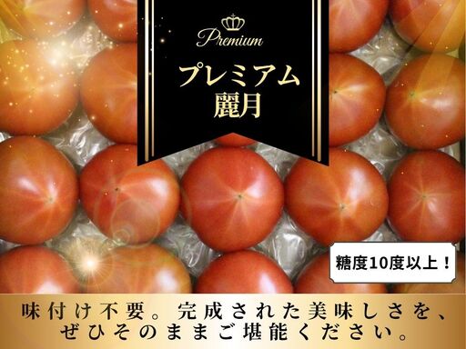 [糖度10度以上!]プレミアム麗月1kg ※沖縄・離島配送不可 / とまと 野菜 トマト[delf042]